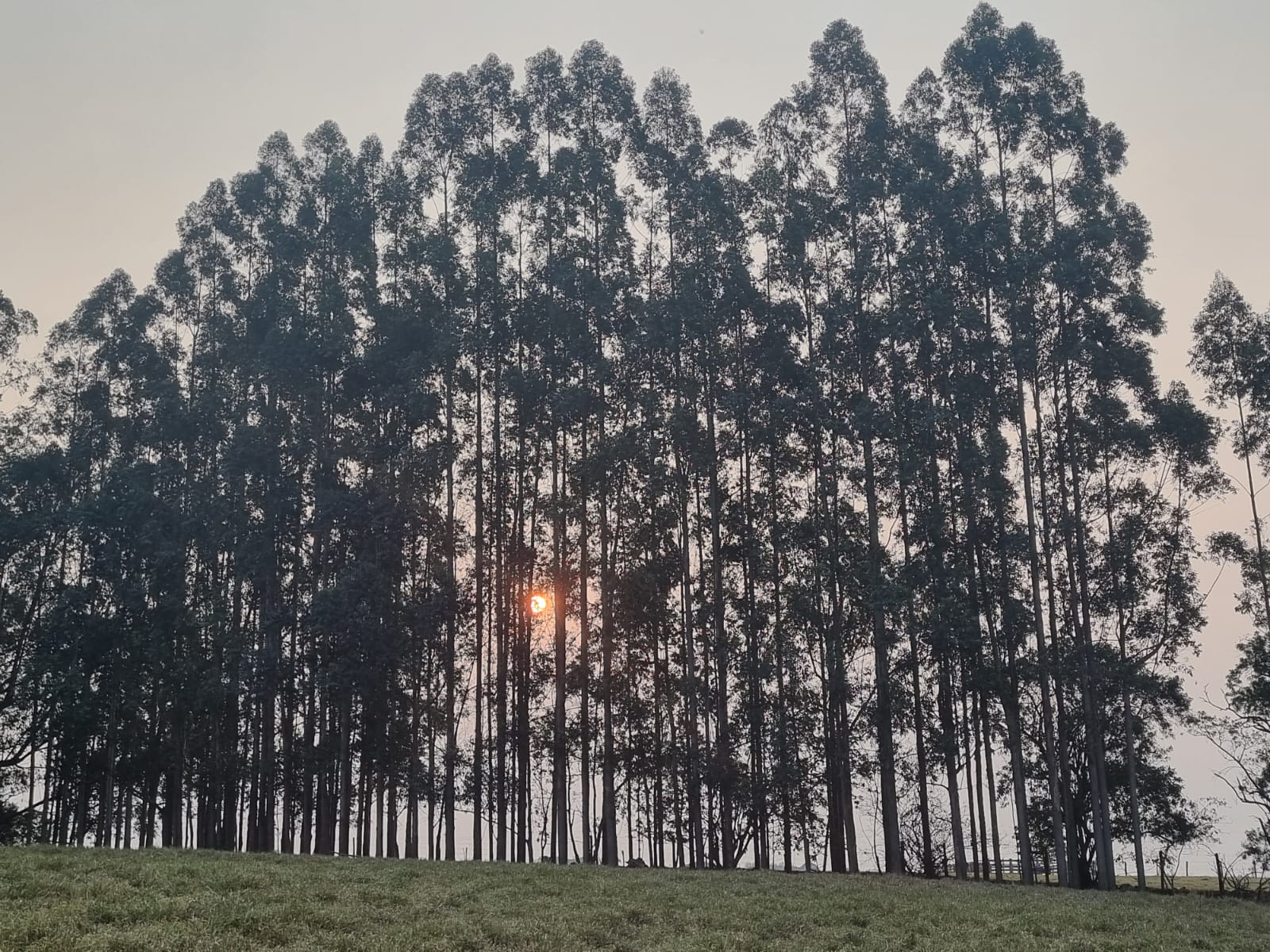 Terras de Santa Maria